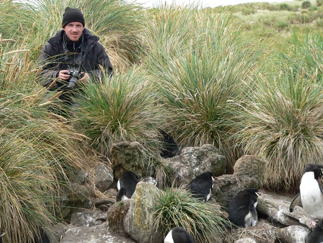 ../../Pictures/241209/109 Rockhopper und Albatrosse.JPG